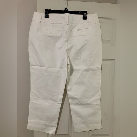 Dana Buchman capris, excellent condition, size 16 - Picture 2 of 6